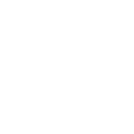 Fibois logo