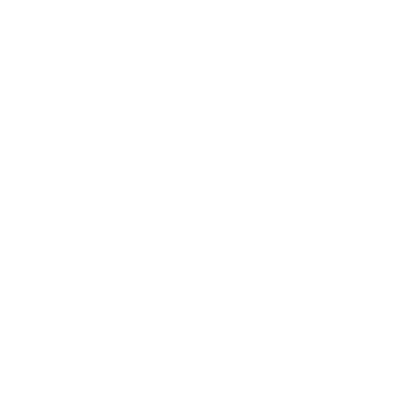 ADIE logo