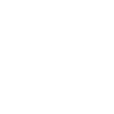 Carrefour logo