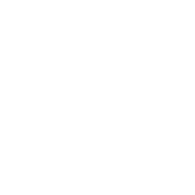 Unicem logo