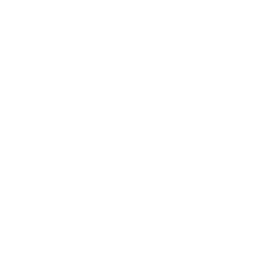 Mademoiselle dessert logo